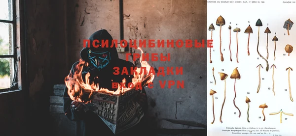 стафф Абаза