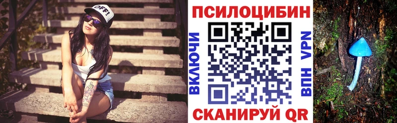 магазин    Александров  Галлюциногенные грибы Psilocybe 